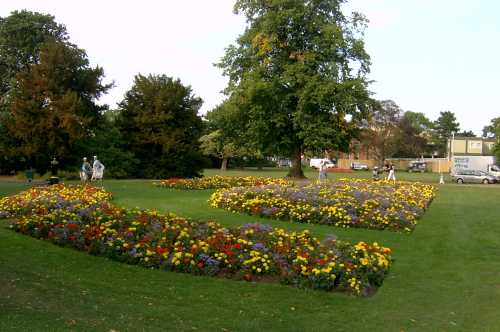 Flower Beds Summer 2005