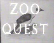 ZOO QUEST