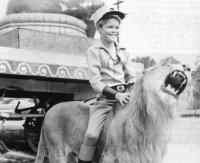 Corky on Lion