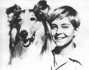 Tommy with Lassie