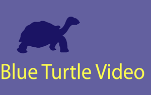 Blue Turtle Video